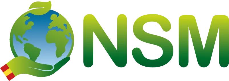 NSM Energia
